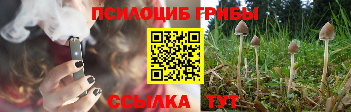 Галлюциногенные грибы прущие грибы  Вход с VPN  Карталы 